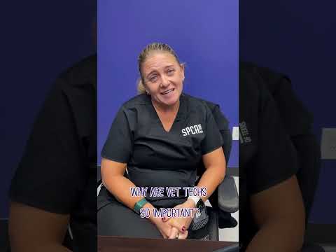 Ask the Vets: Why are Vet Techs so Important?