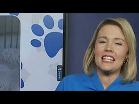 Meet this week's Perfect Pets: Hudson and Winter!