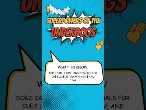 Want a super hero? Adopt a deaf dog!!