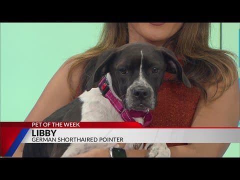 Pet of the Week: Libby