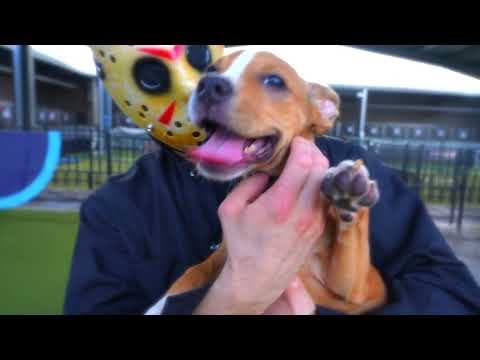 Oh No! Jason Visits Pet Circle Regional Animal Center