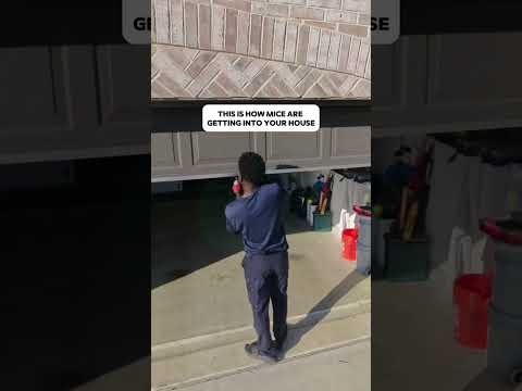 Your garage is the #1 way mice get inside. Here's how we shut them out!