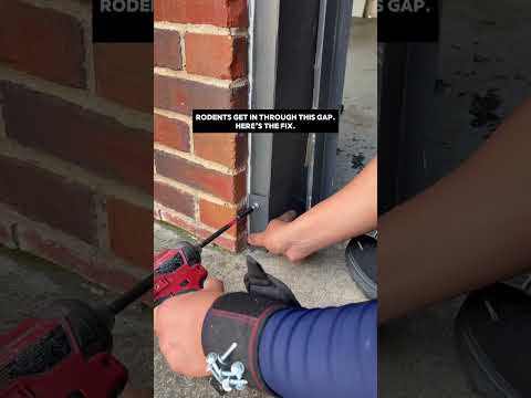 Sealed tight. No way in now! #pestcontrol #garage #tools #rodentproof #sealup