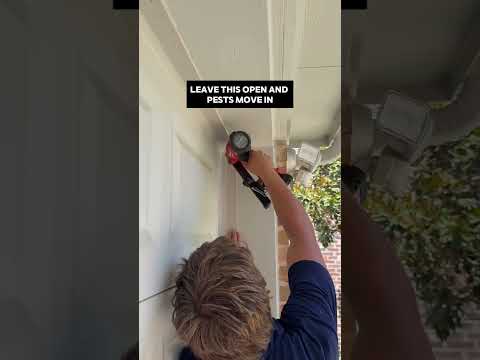 Close it up before they find it. #pestcontrolservice #rodentproof #tools #garage #bugs