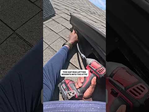 Scratching in the attic? This is one of the easiest ways they get in. #pestcontrol #roof #rats #too