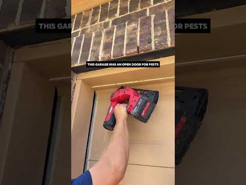 No way in! #pest #garage #rodent #door #home