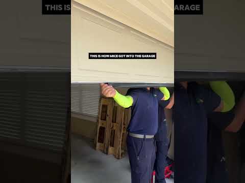 A chewed-up bottom seal was all it took! #garage #rodentproof #outwiththeold #tools #home