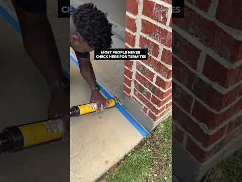 Termite damage doesnโt always start where youโd expect. #termites #driveway #pestcontrol #expansio